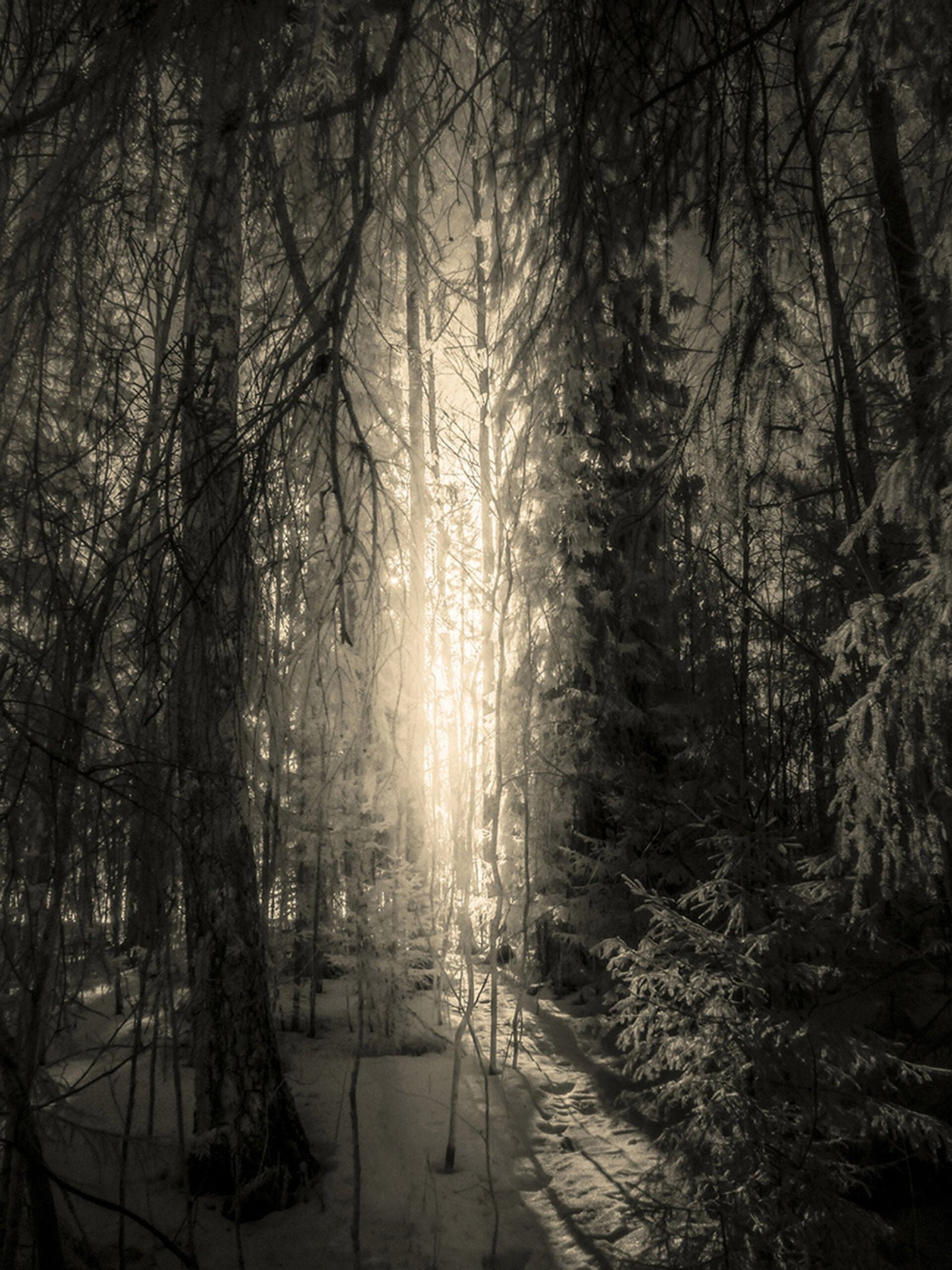 Francisco Gonzalez Camacho - 1 - Elsewhere