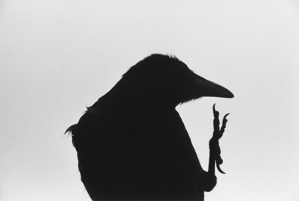 Masahisa Fukase