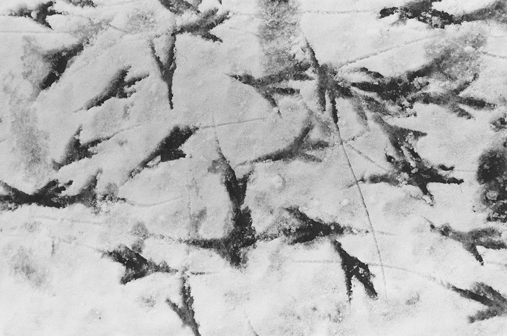 Masahisa Fukase