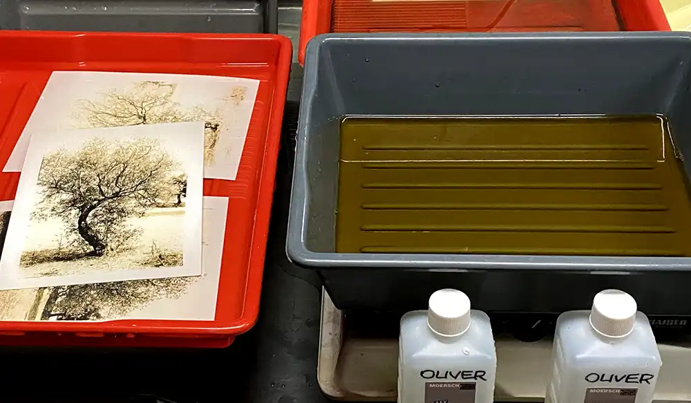Taller de Lihtprinting con Oliver Pera - Revela't 2026 Red tray with printed tree sketches resting on top, next to a gray ink tray filled with brown liquid; two white-lidded bottles labeled OLVER sit nearby.