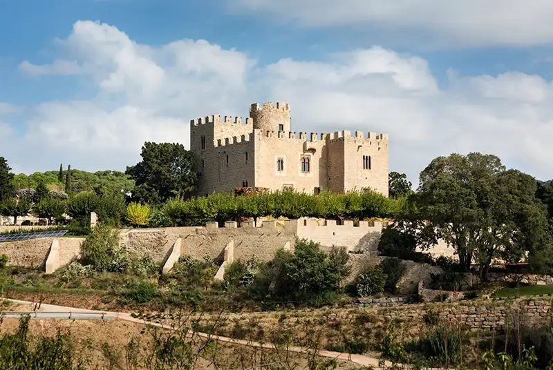 Stone castle on a hillside surrounded by trees, with blue sky and white clouds above. It sits behind a fortified wall with crenellations.