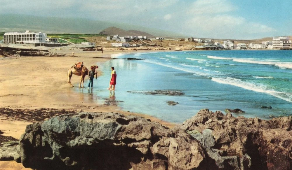 A camel and a person standing at the water's edge on a sunny beach, with waves and rocky foreground and distant white buildings.