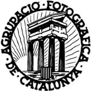MF monogram in bold black on white background (likely a logo)